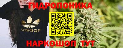 ПСИЛОЦИБИНОВЫЕ ГРИБЫ Гусь-Хрустальный