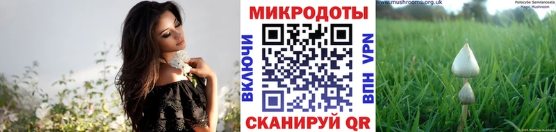 купить наркотики сайты  Костомукша  ОМГ ОМГ зеркало  Галлюциногенные грибы мицелий 