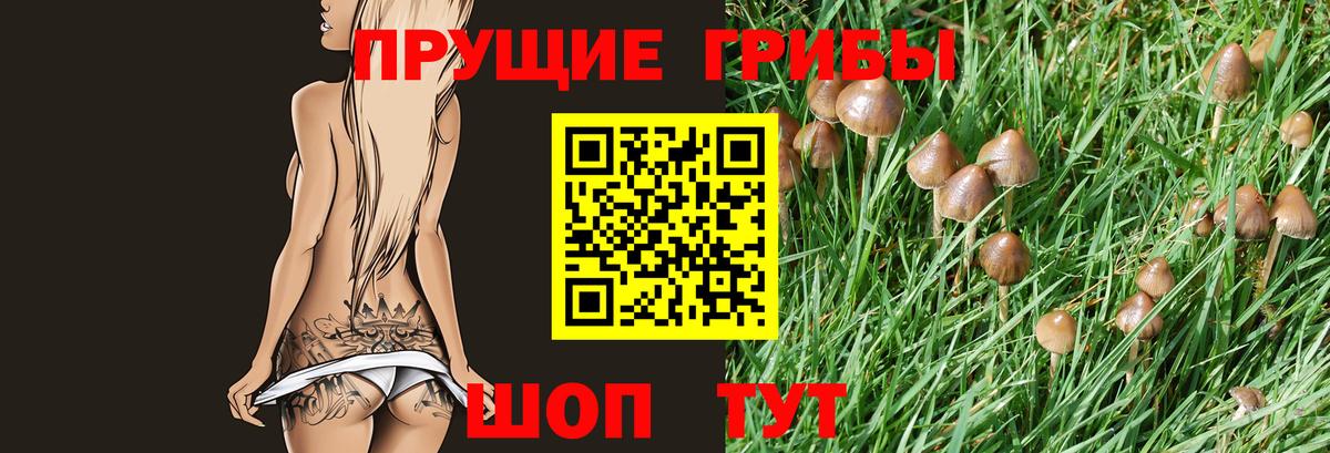 Галлюциногенные грибы Magic Shrooms Костомукша